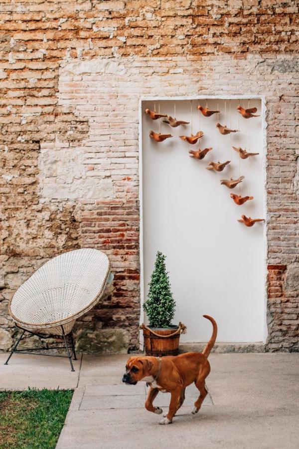 Hotel Tabaa Oaxaca Εξωτερικό φωτογραφία